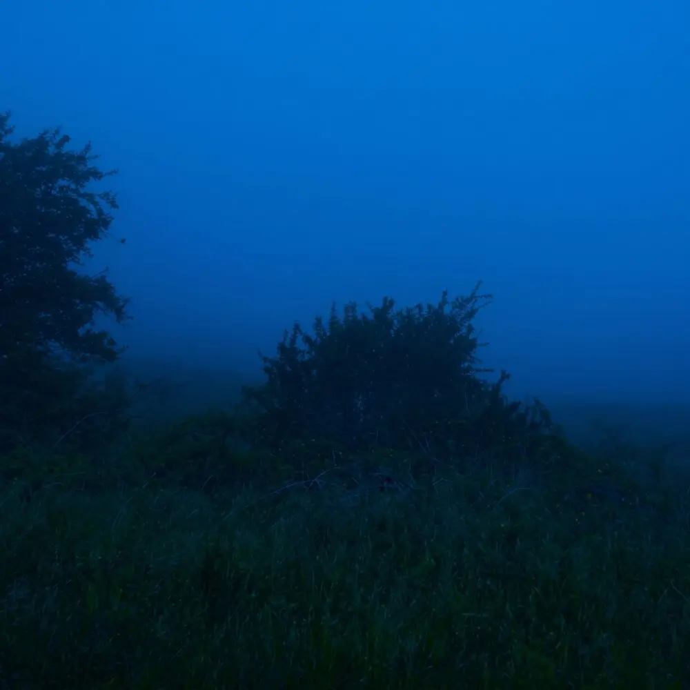 faint transmission - noescape