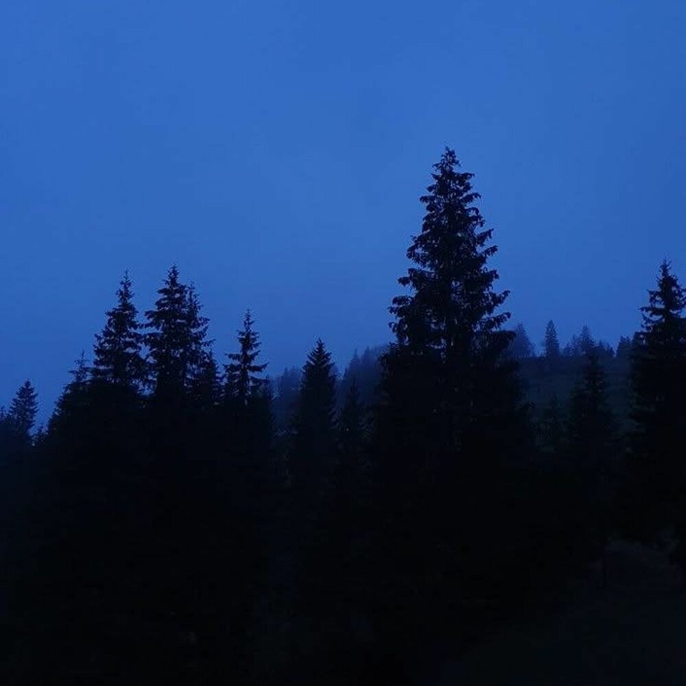breathing shadows - noescape, pale horizon