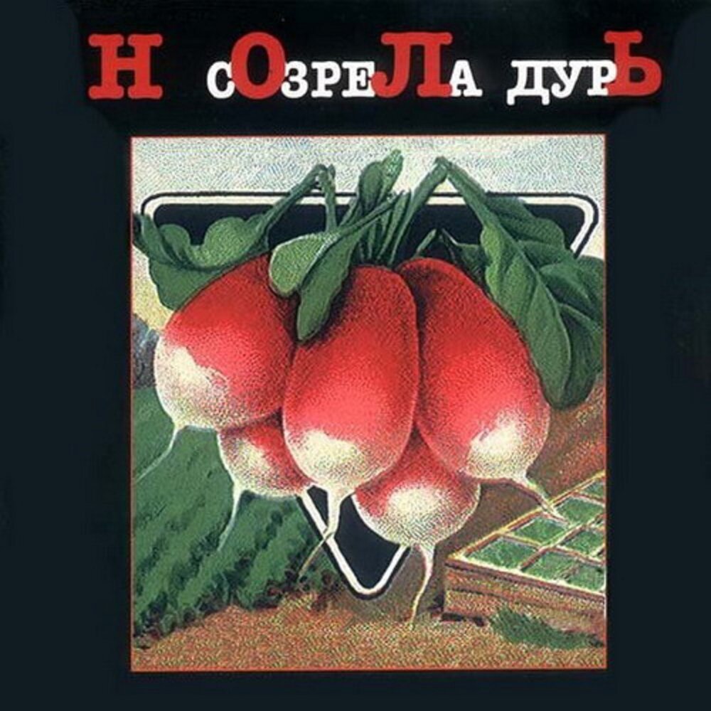＊ (На хрена козе баян？) - Ноль