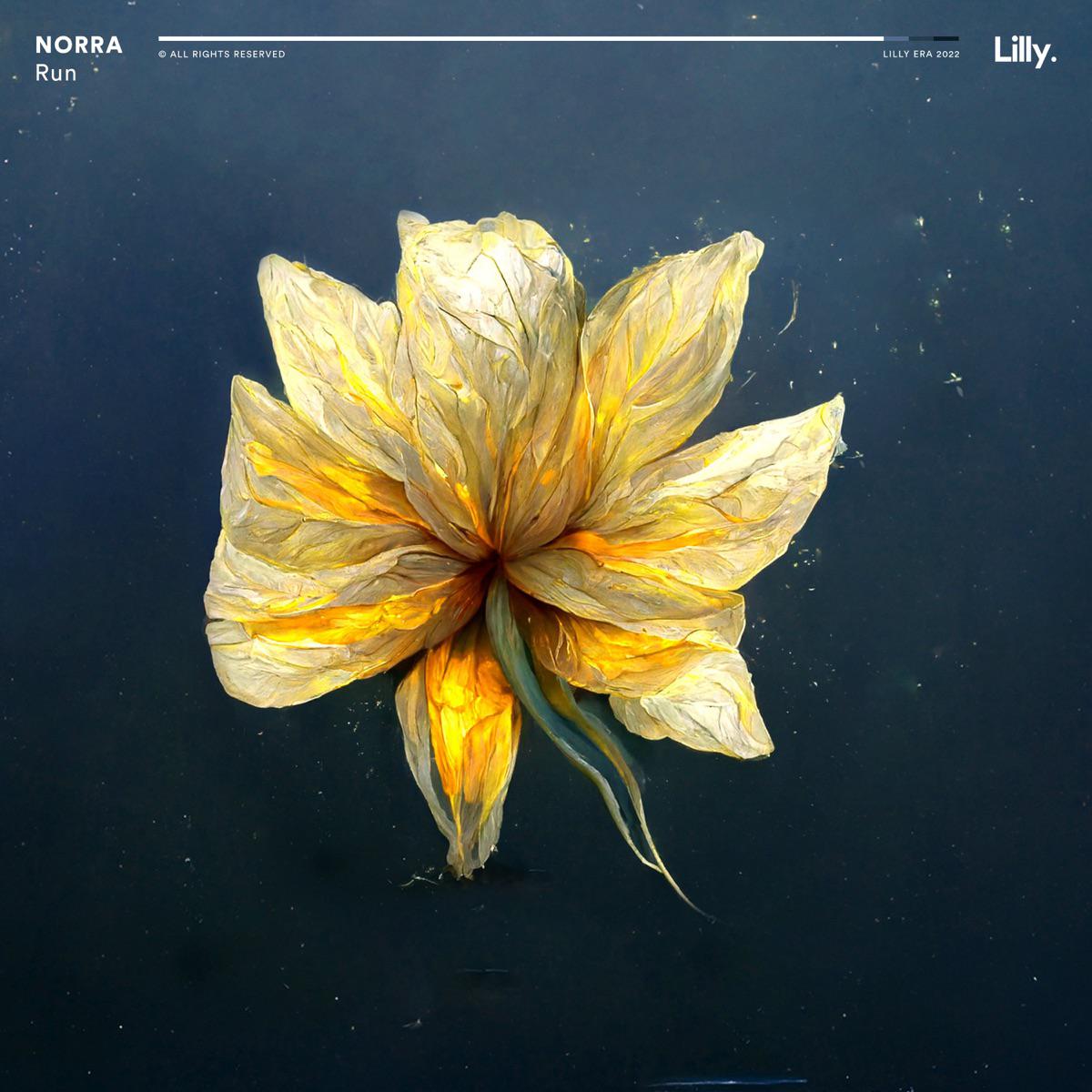 Run - Norra