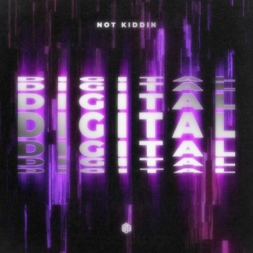 Not Kiddin - Digital