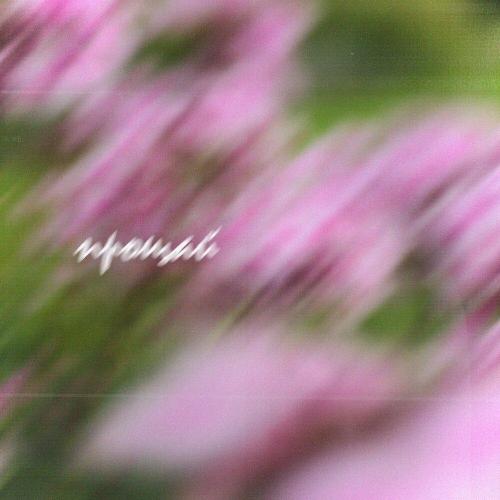 Novigle - Прощай