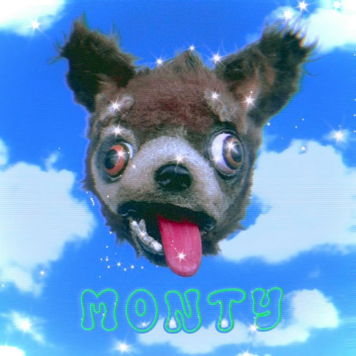 monty (^ᴥ^) - Novo Amor, Yvette Young