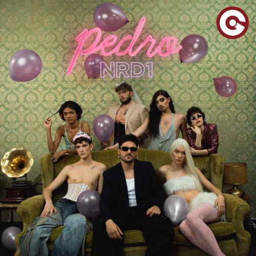 NRD1 - Pedro
