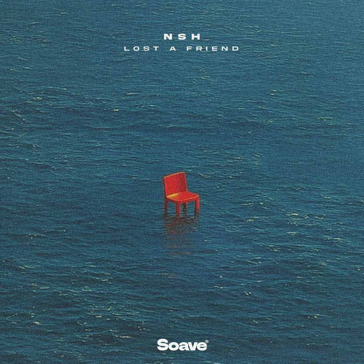 Lost A Friend - NSH