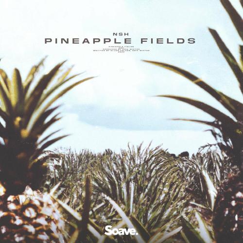 Pineapple Fields - NSH