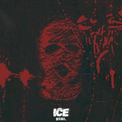 NSML - Ice
