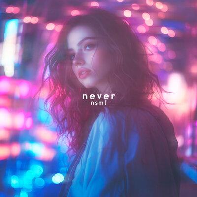 NSML - Never