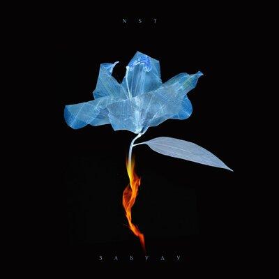 NST - Забуду