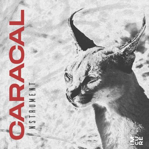 Nstrument - Caracal