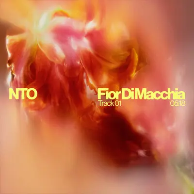 Fior Di Macchia - NTO