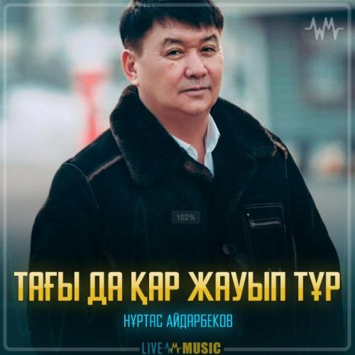 Нұртас Айдарбеков - Тағы да қар жауып тұр