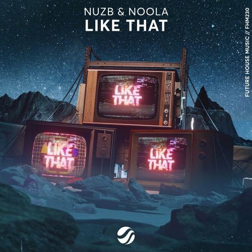 Like That - Nuzb feat. Noola