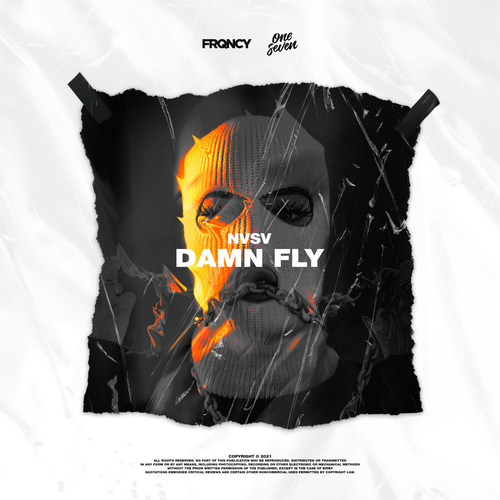 NVSV - Damn Fly