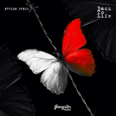 NVTION PVNIC - Back to Life