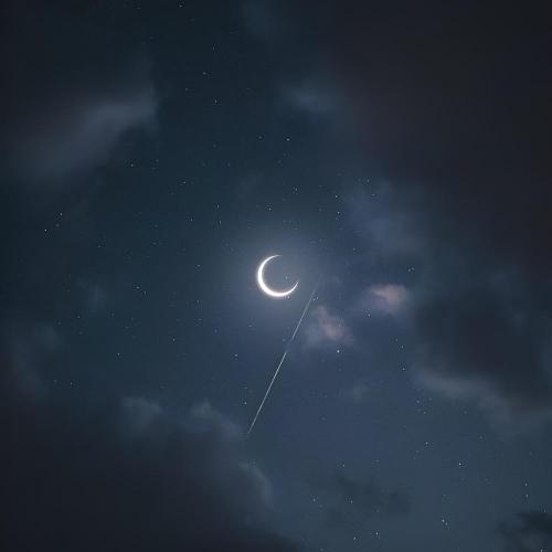 nxlove, forgøtten, cryoluv - moonlight