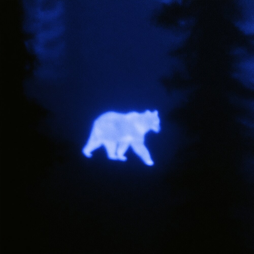 Scared - OBLXKQ, eyfect