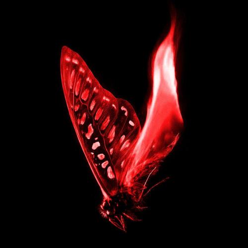 Ocean Jet - On Fire