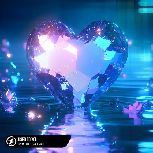 Ocean Roses - Used To You