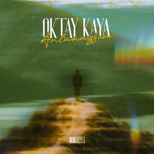 Oktay Kaya - Anlamazsın