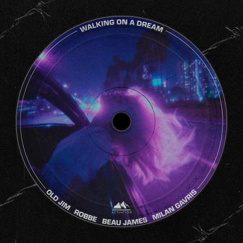 Old Jim, Robbe, Beau James, Milan Gavris - Walking On A Dream