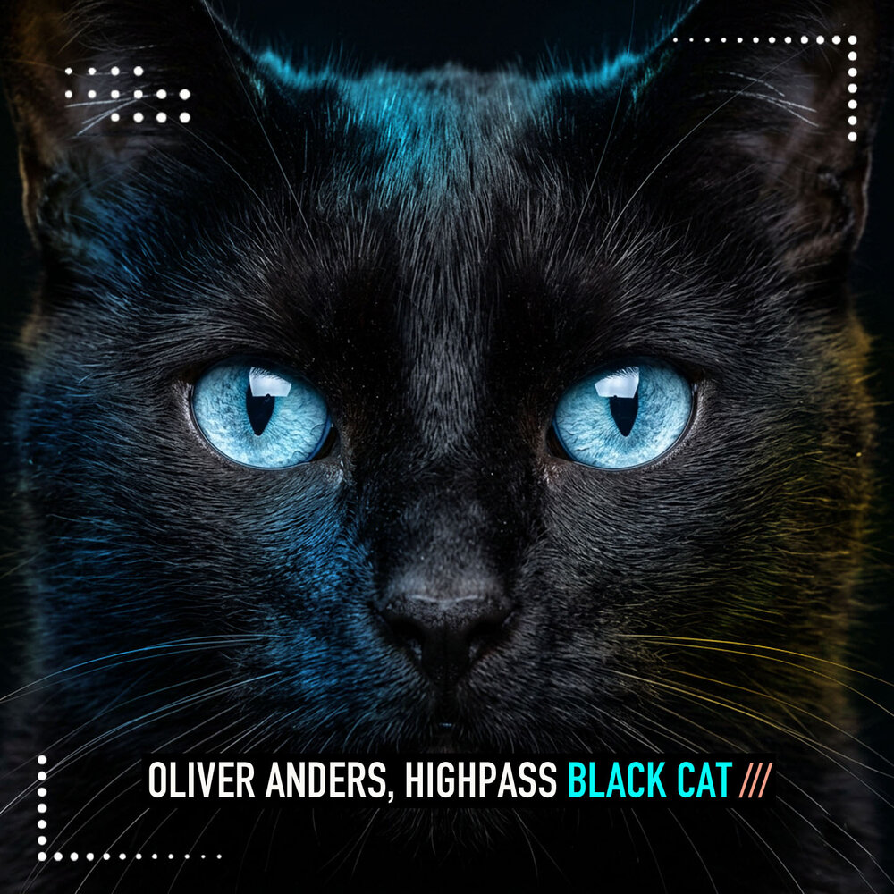 Black Cat - Oliver Anders, Highpass