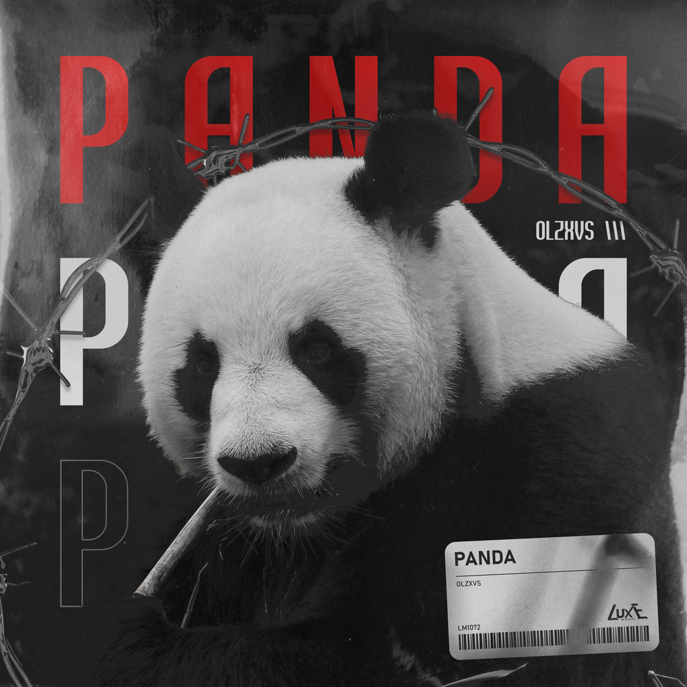 PANDA - OLZXVS
