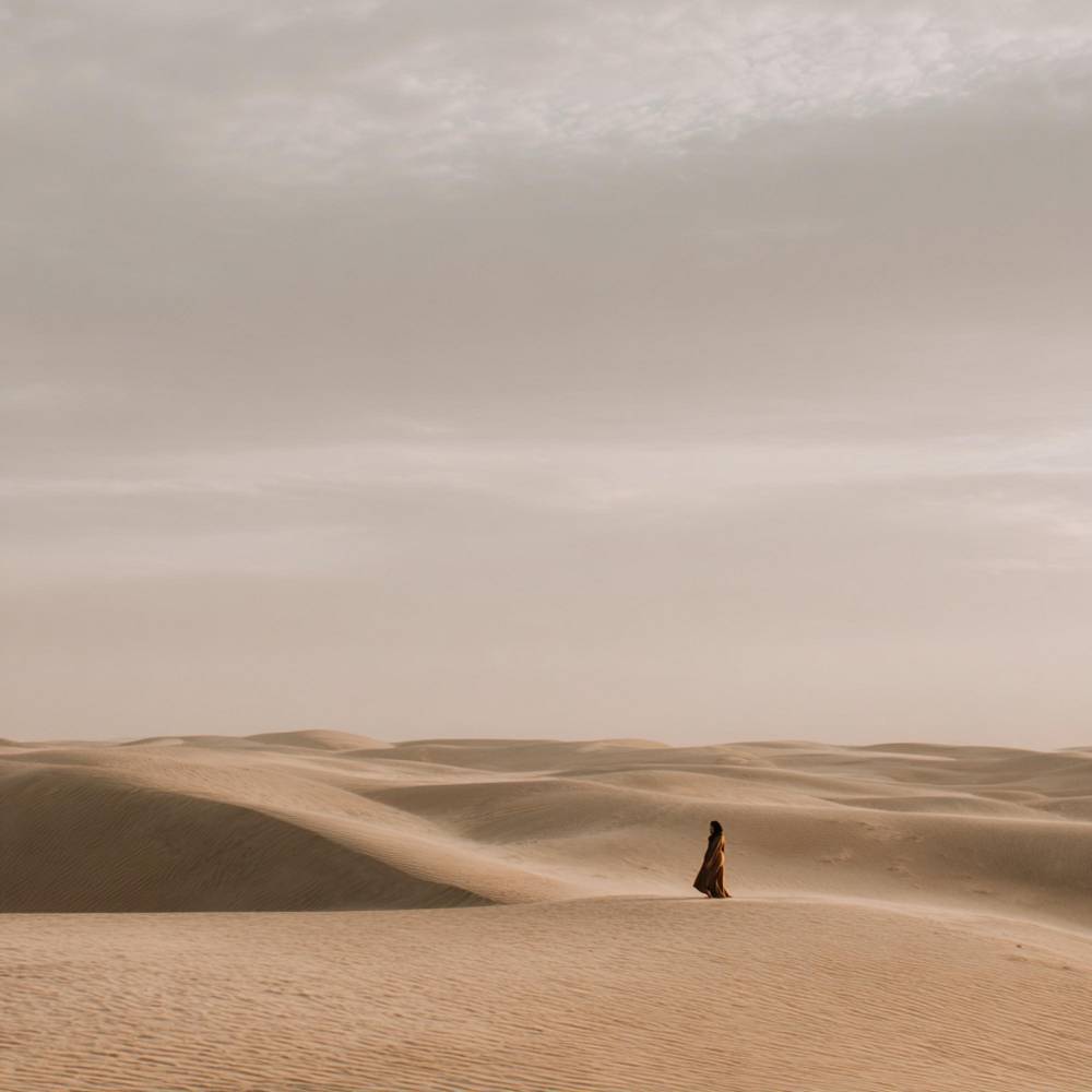 Ömer Bükülmezoğlu - You Still Desert Rain (Remix)