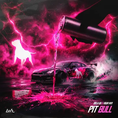 PIT BULL - ONLY US, VSUR HVN
