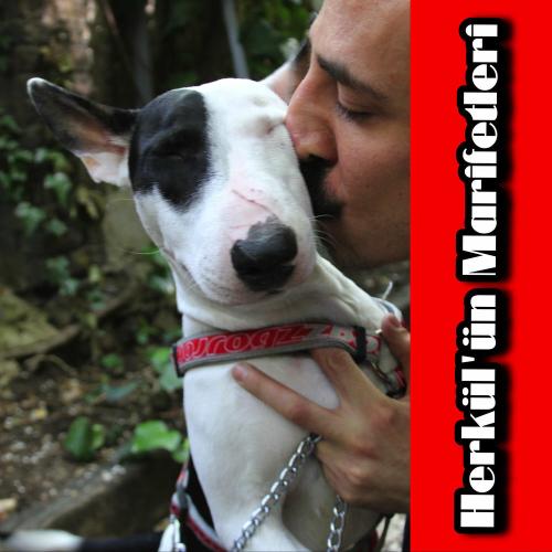 Onurr - Zümrüd-ü Ankam (Demo)