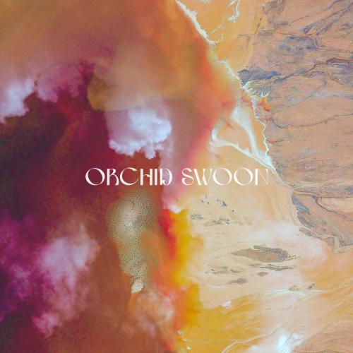 Orchid Swoon - Between Veils