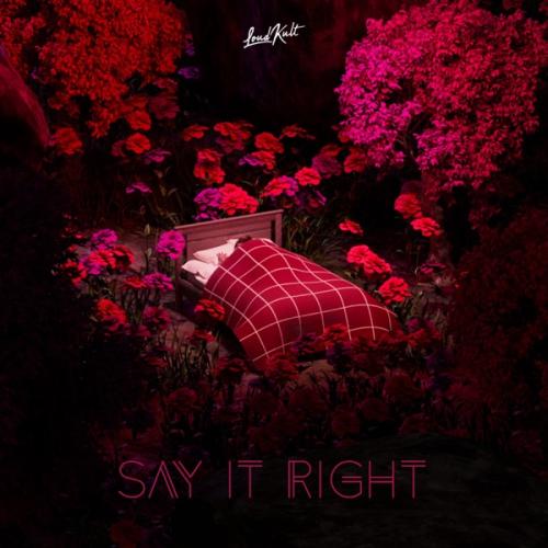 Say It Right - Organ feat. Oneil & Favia