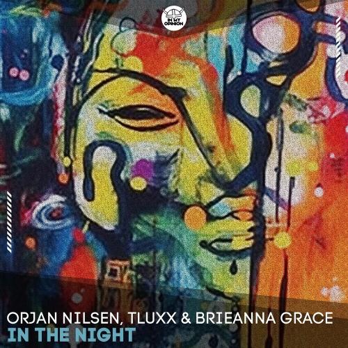 Orjan Nilsen, Tluxx & Brieanna Grace - In The Night