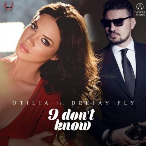 I Don t Know - Otilia feat. Deejay Fly
