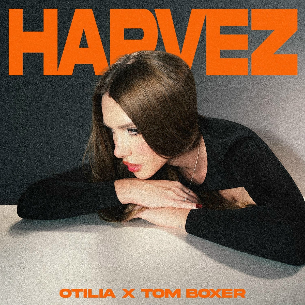 Harvez - Otilia, Tom Boxer