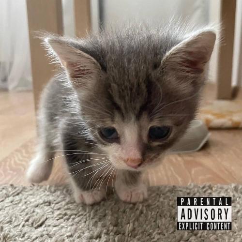 OttO & Шумм & Эмелевская - кид кэт