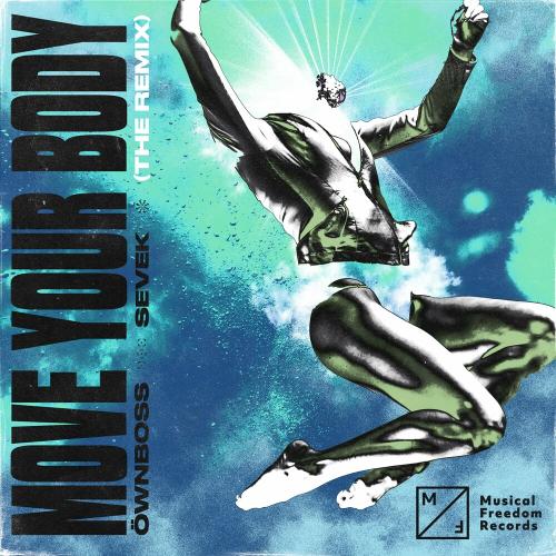 Ownboss feat. Sevek - Move Your Body (Kim Kaey Remix)