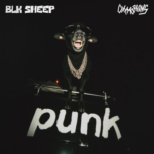 Oxymorrons - BLK SHEEP
