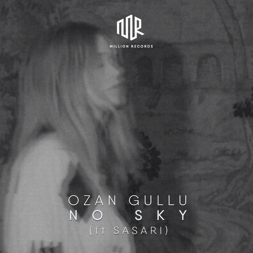 Ozan Gullu feat. Sasari - No Sky