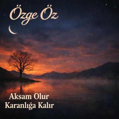 Akşam Olur Karanlığa Kalırsın (Oy Gelin) - Özge Öz