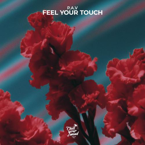 P.A.V - Feel Your Touch