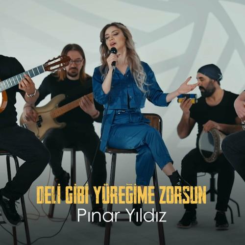 Deli Gibi Yüreğime Zorsun - Pınar Yıldız