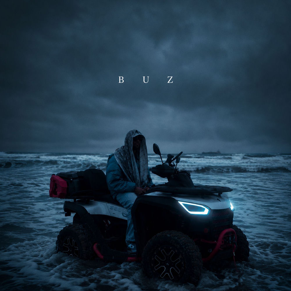 Buz - Page