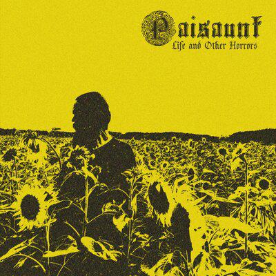 Every Grief I Meet - Paisaunt