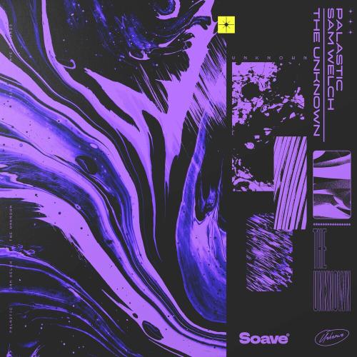 Palastic feat. Sam Welch - The Unknown