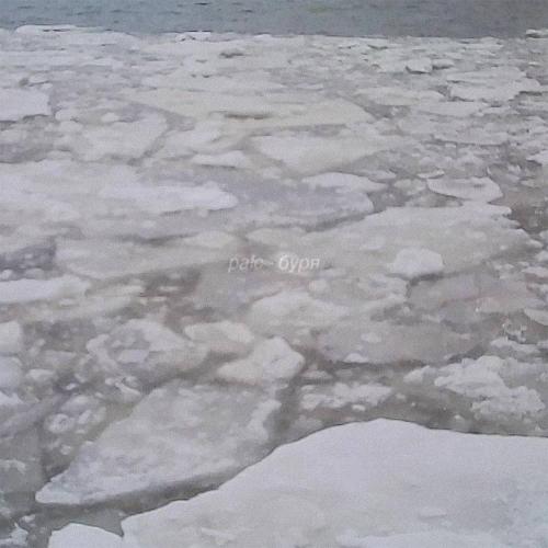 PALC - Буря