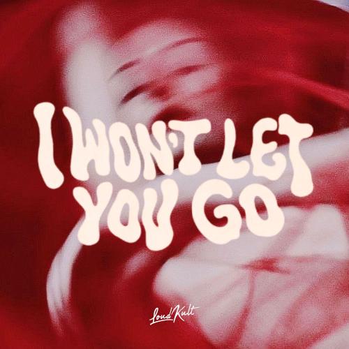 Palm Brothers, Jaylen Deeper, AME & The Palm Tree Boy - I Won't Let You Go