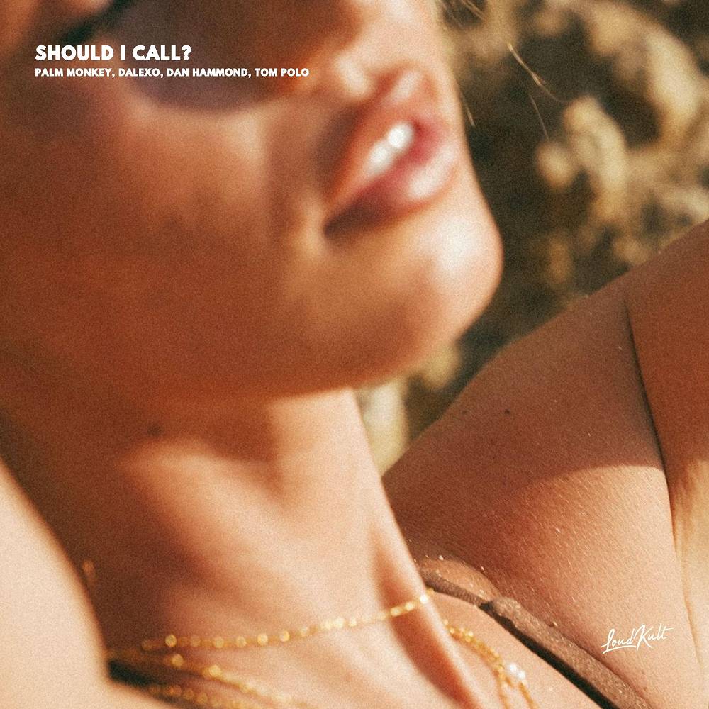 SHOULD I CALL- - Palm Monkey & DALEXO & Dan Hammond & Tom Polo