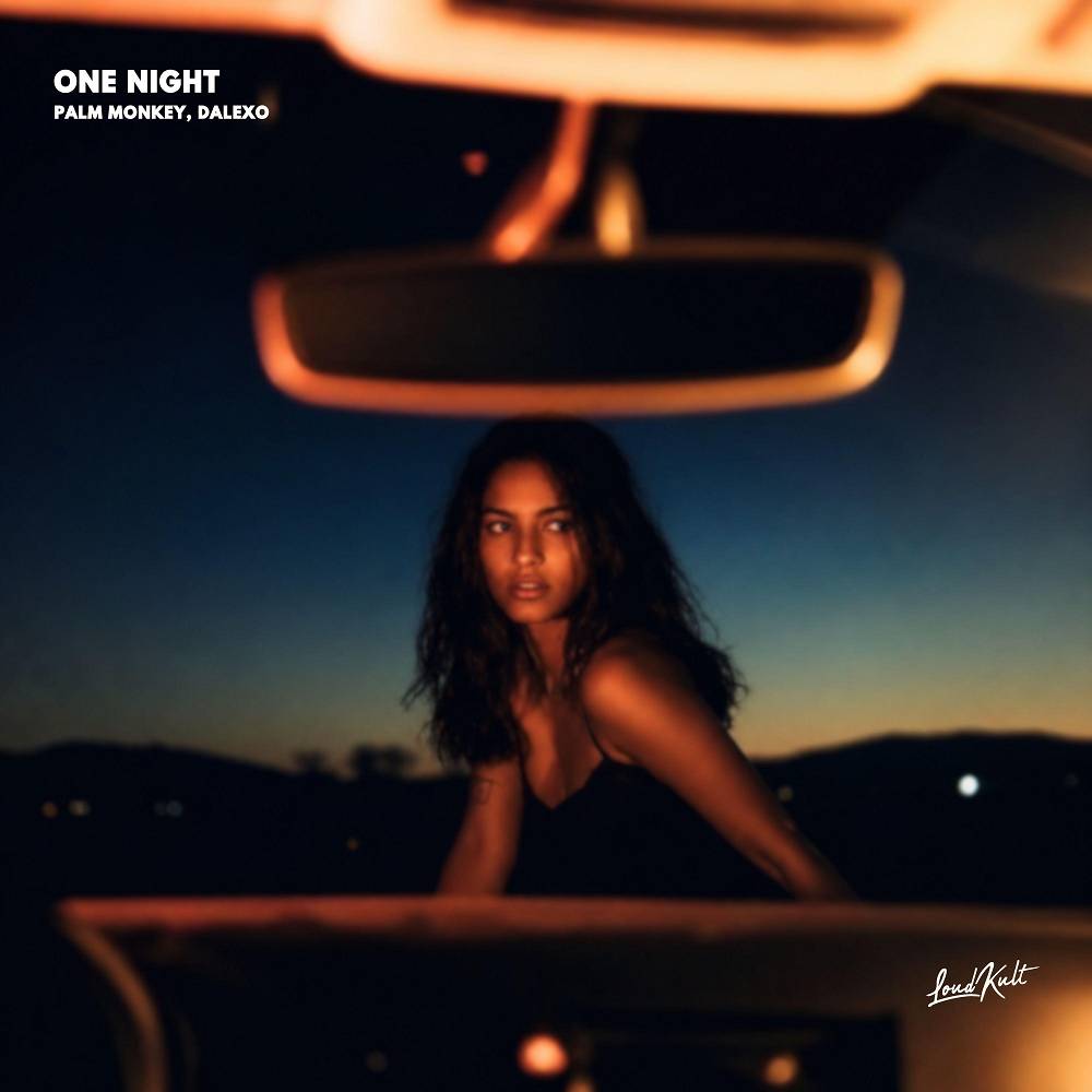 ONE NIGHT - Palm Monkey & DALEXO