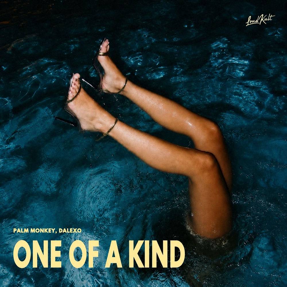 ONE OF A KIND - Palm Monkey & DALEXO
